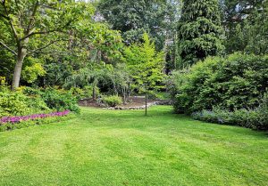 Optimiser l'expérience du jardin à Nuncq-Hautecote